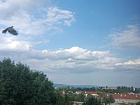 Olomouc-Lazce