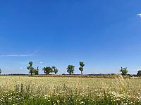 Lukovany