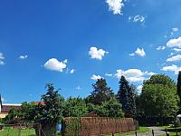 Olešná