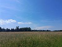 Kopřivnice, Vlčovice