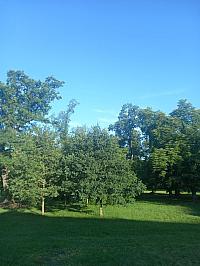 Svatý Mikuláš