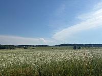 Přelouč
