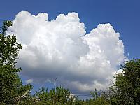 Kopřivnice, Vlčovice