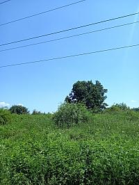 Svatý Mikuláš
