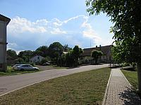 Třibřichy