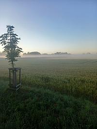 Svatý Mikuláš