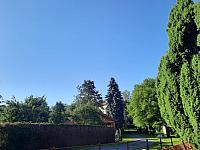 Olešná