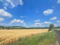 Lužice u Mostu 