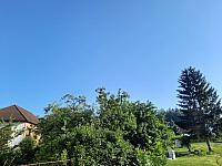 Olešná