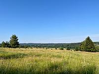 Padrť