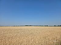 Odrovice