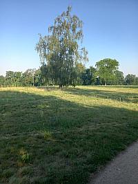 Svatý Mikuláš