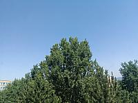 Olomouc-Lazce