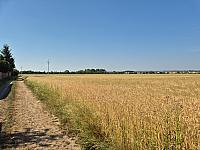 Císařov