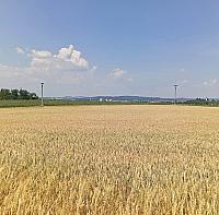 Třebíč-Borovina