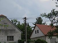 Třibřichy