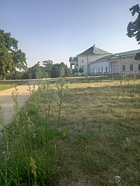 Svatý Mikuláš