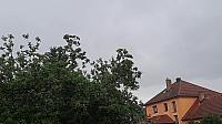 Olešná