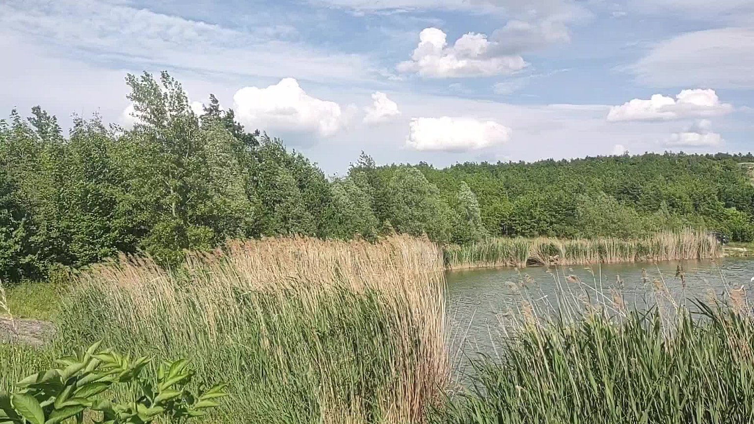 Radovesicka výsypka