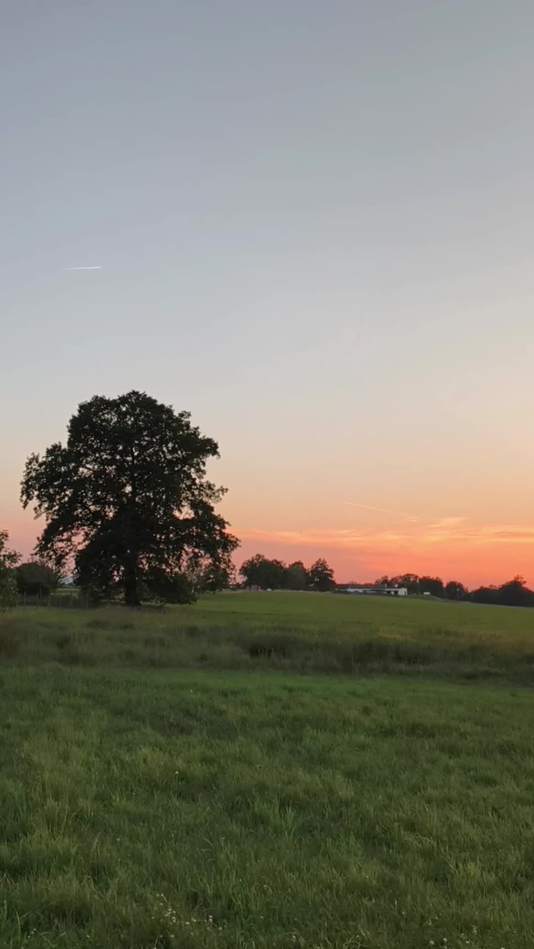 České Budějovice