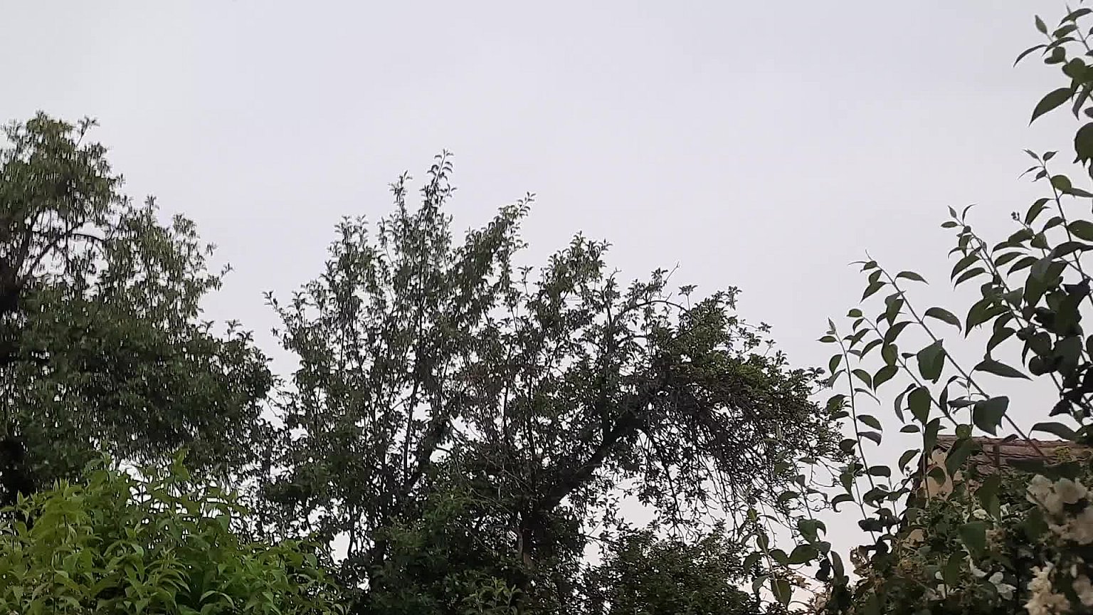 Mezná 