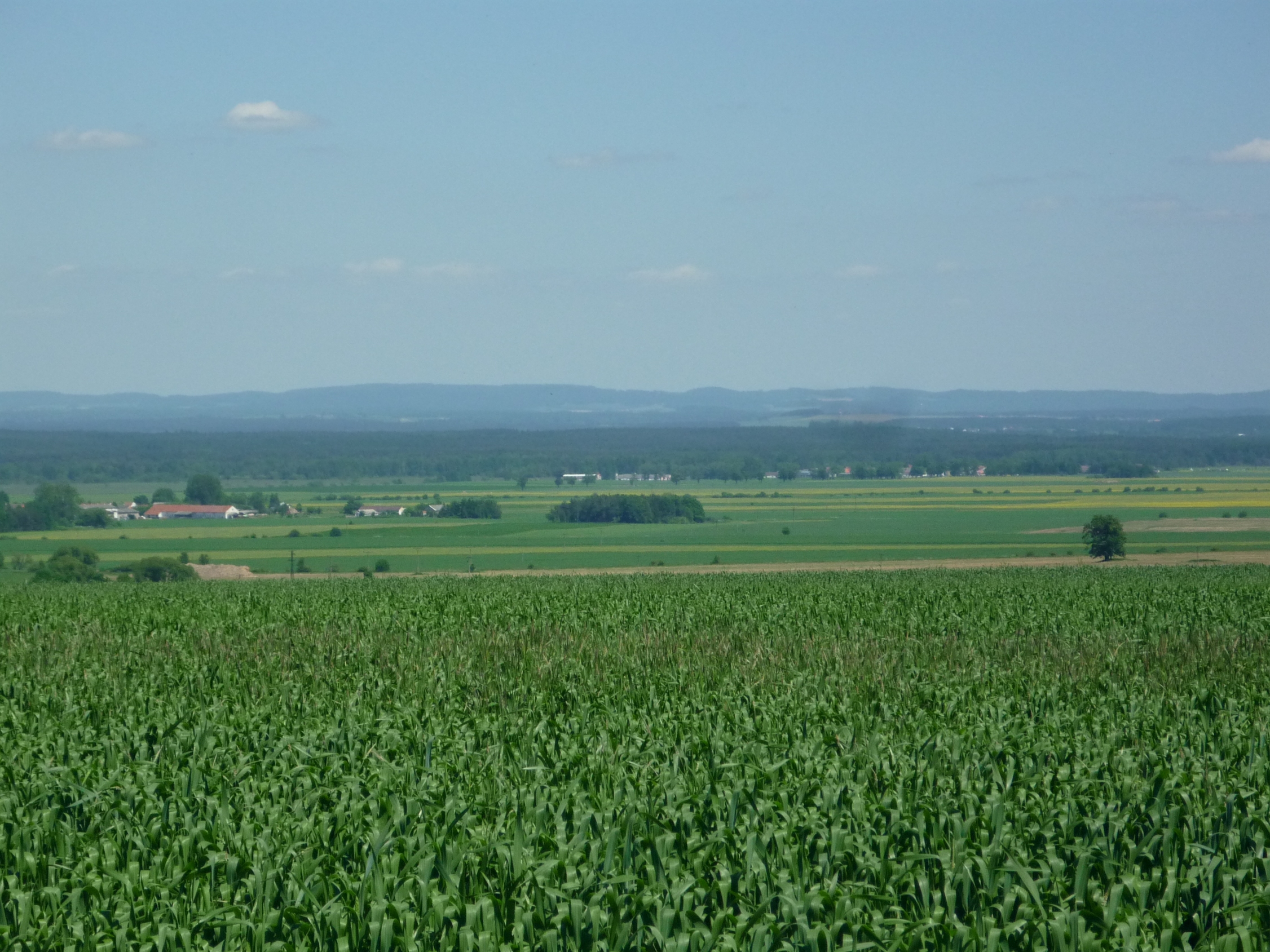 Borkovice