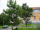 Slavičín, sídliště Vlára