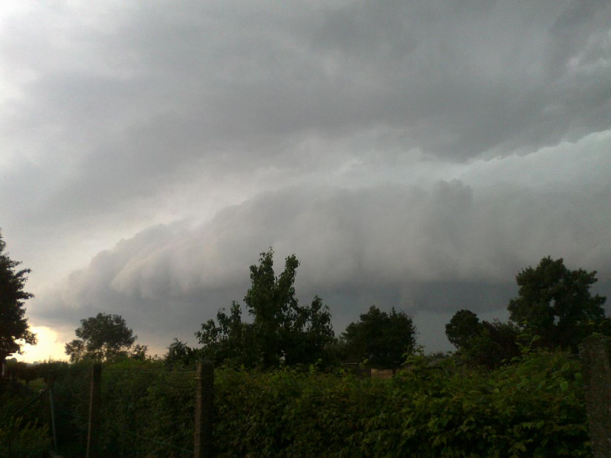 Borkovice
