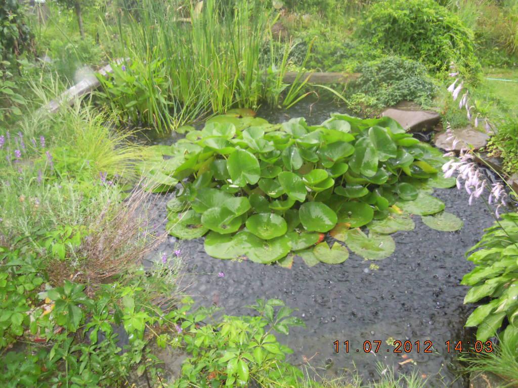 Vítkov