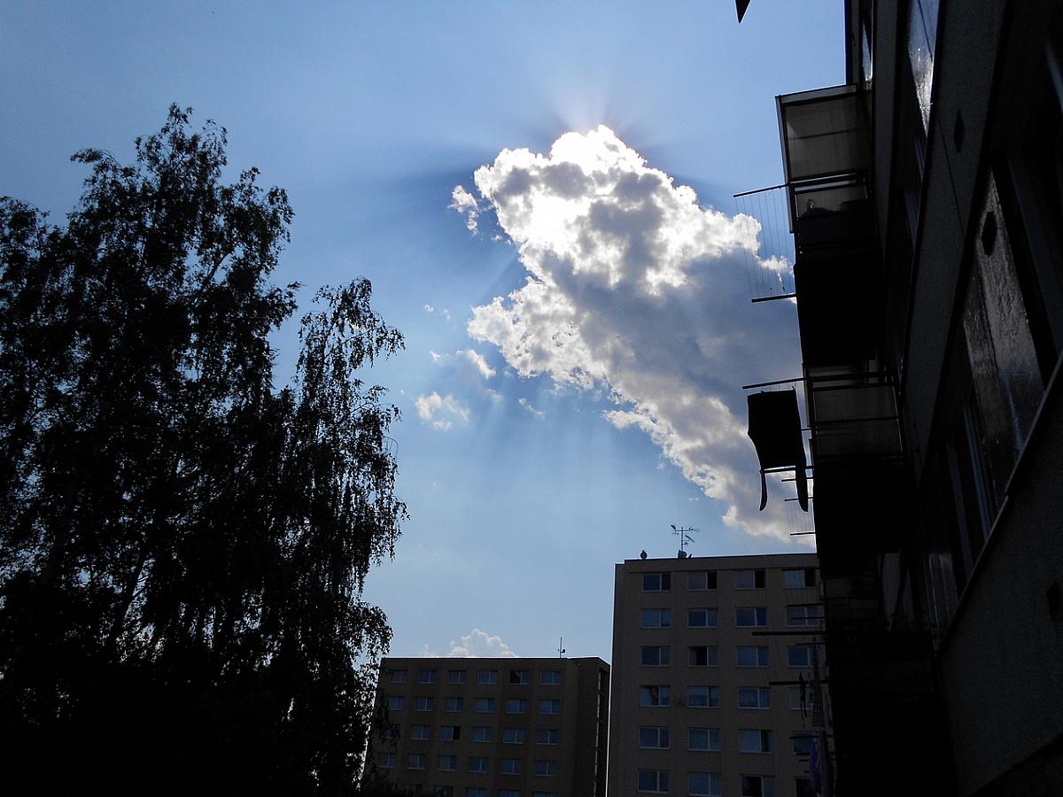 Borovina
