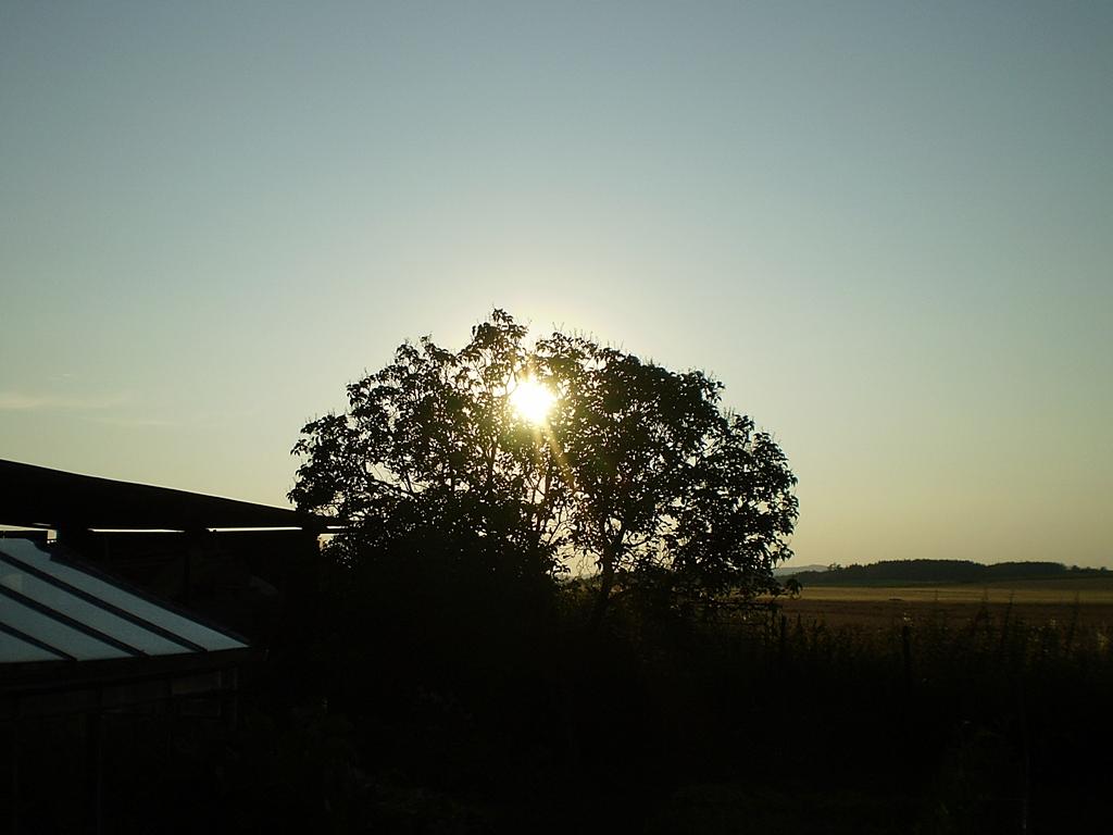Hostákov