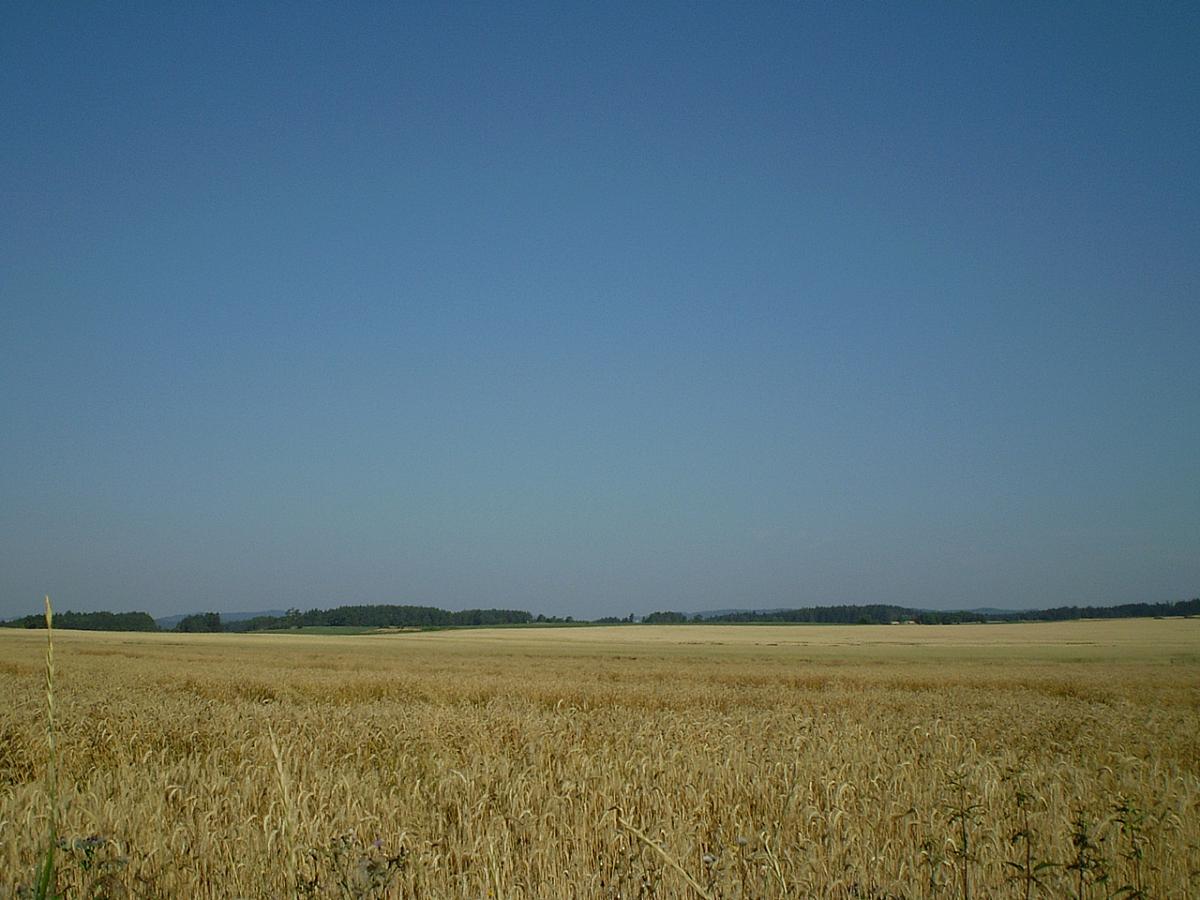 Hostákov