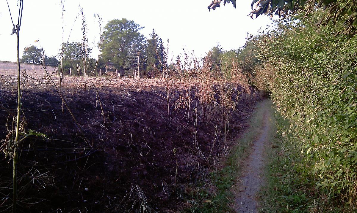 Chrudim(Vlčnov)