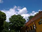 Borovina