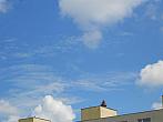 Borovina