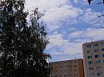 Borovina