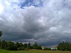 Borovina