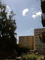 Borovina
