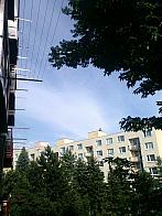 Borovina
