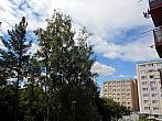 Borovina