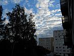 Borovina