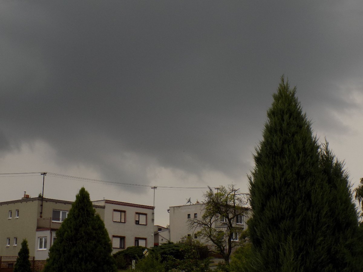 Kvasice