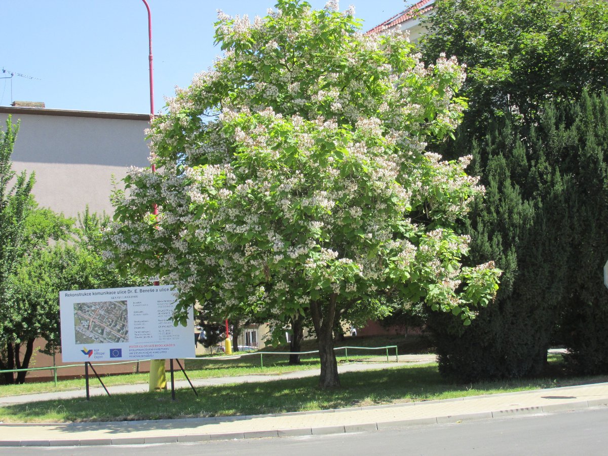 Neratovice