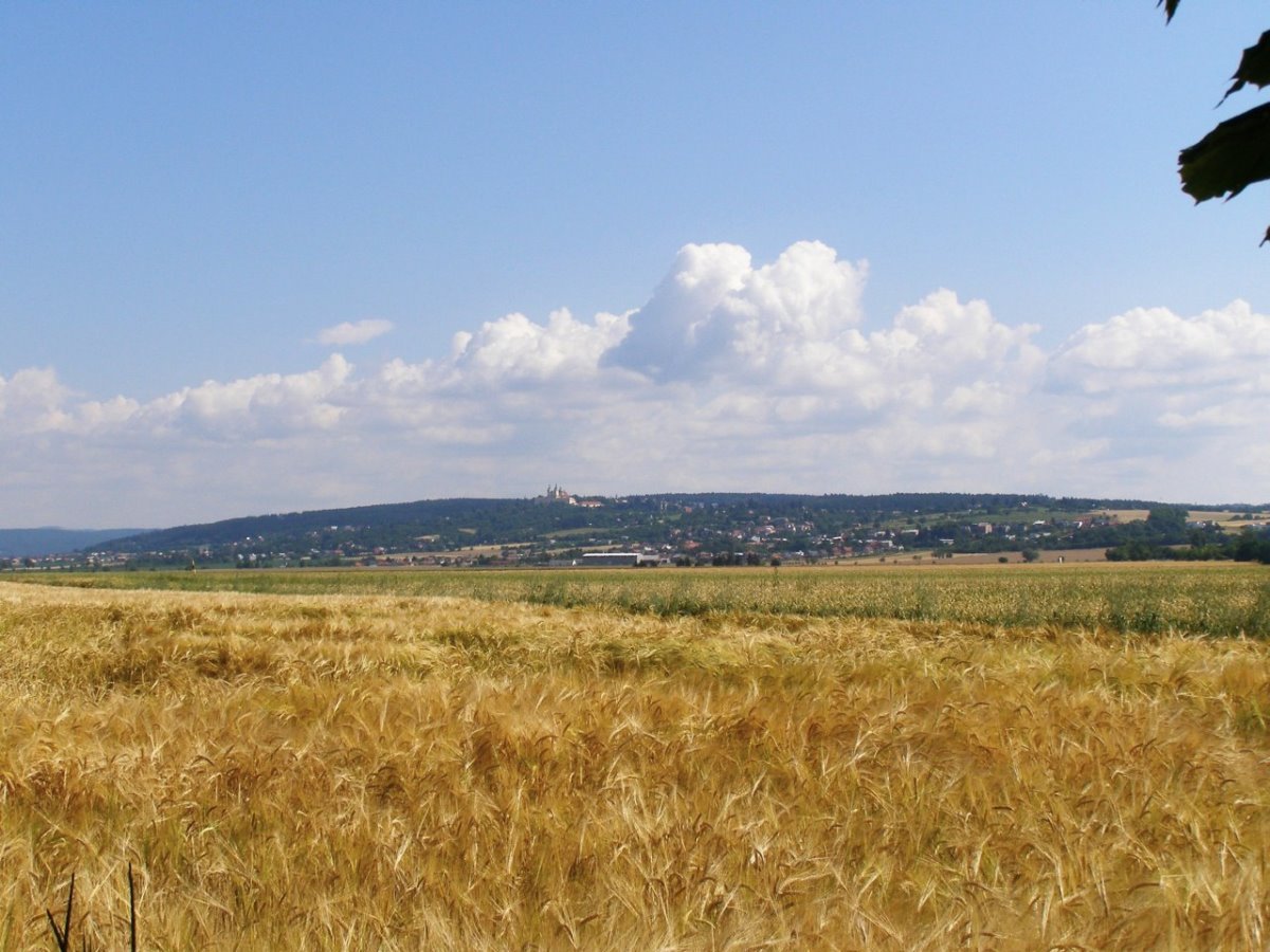 Velká Bystřice