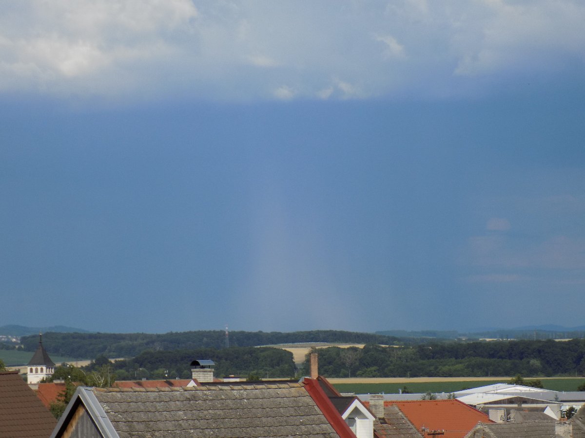 Kvasice