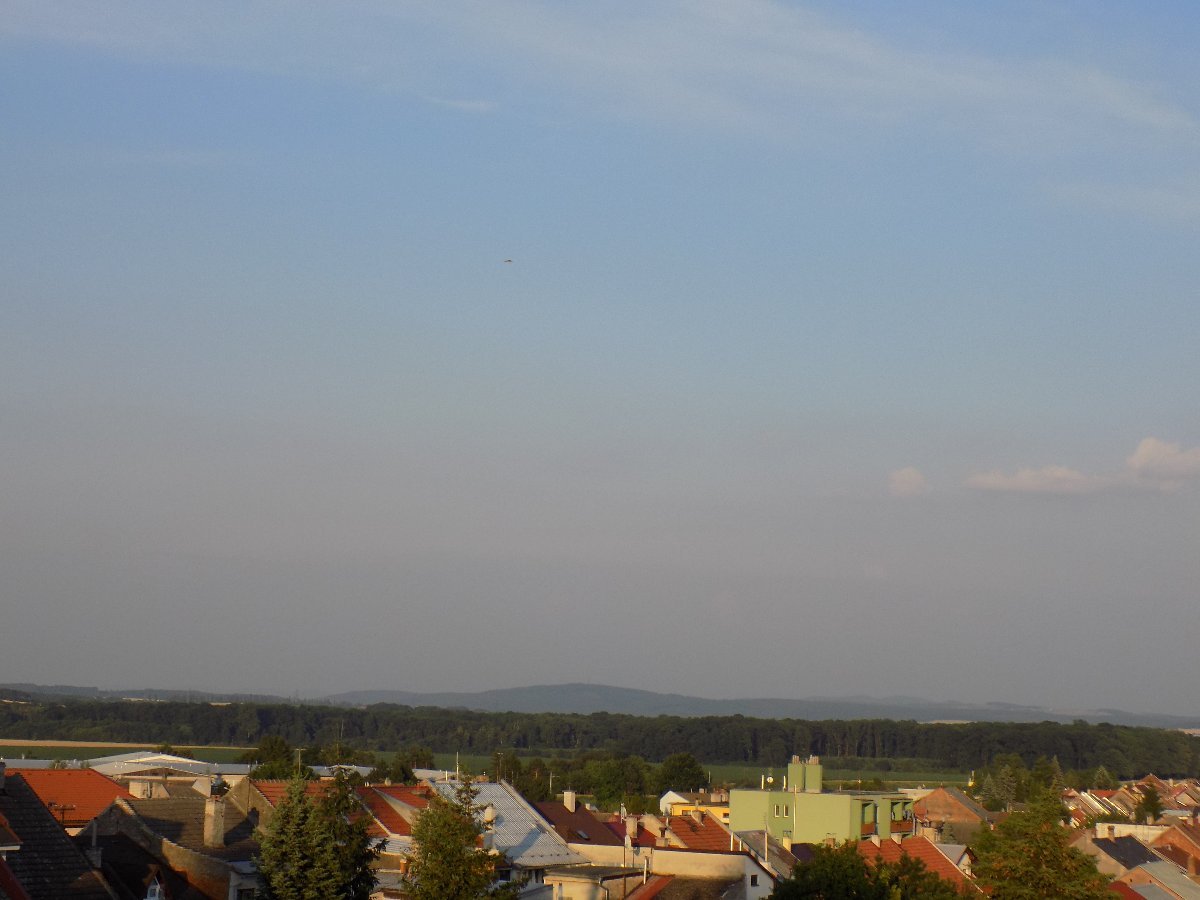Kvasice
