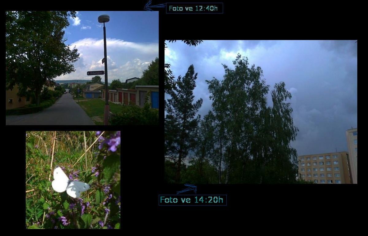 Borovina