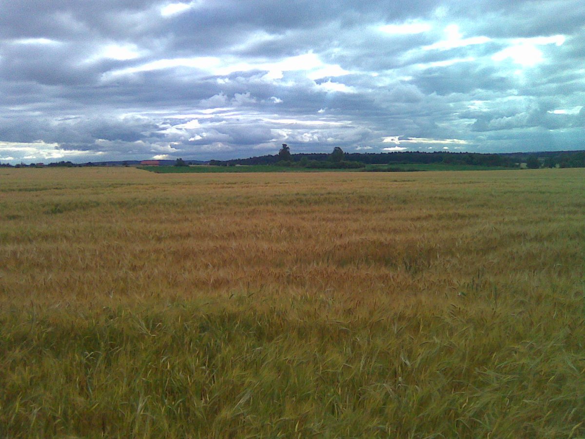Kladno