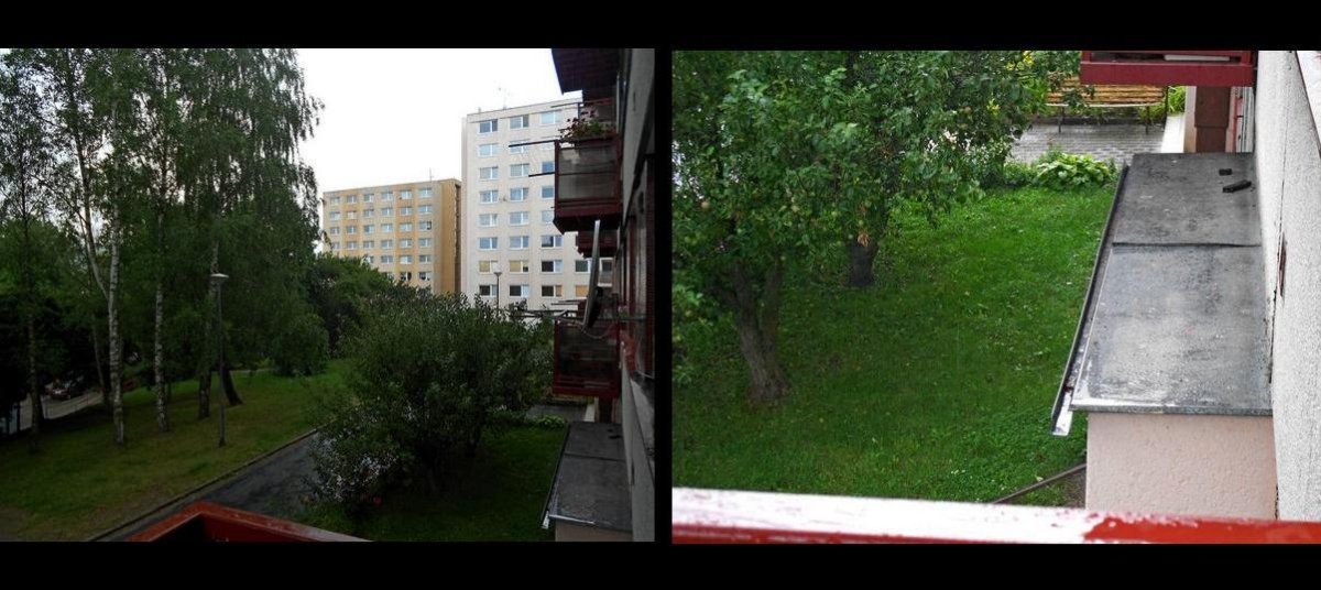 Borovina