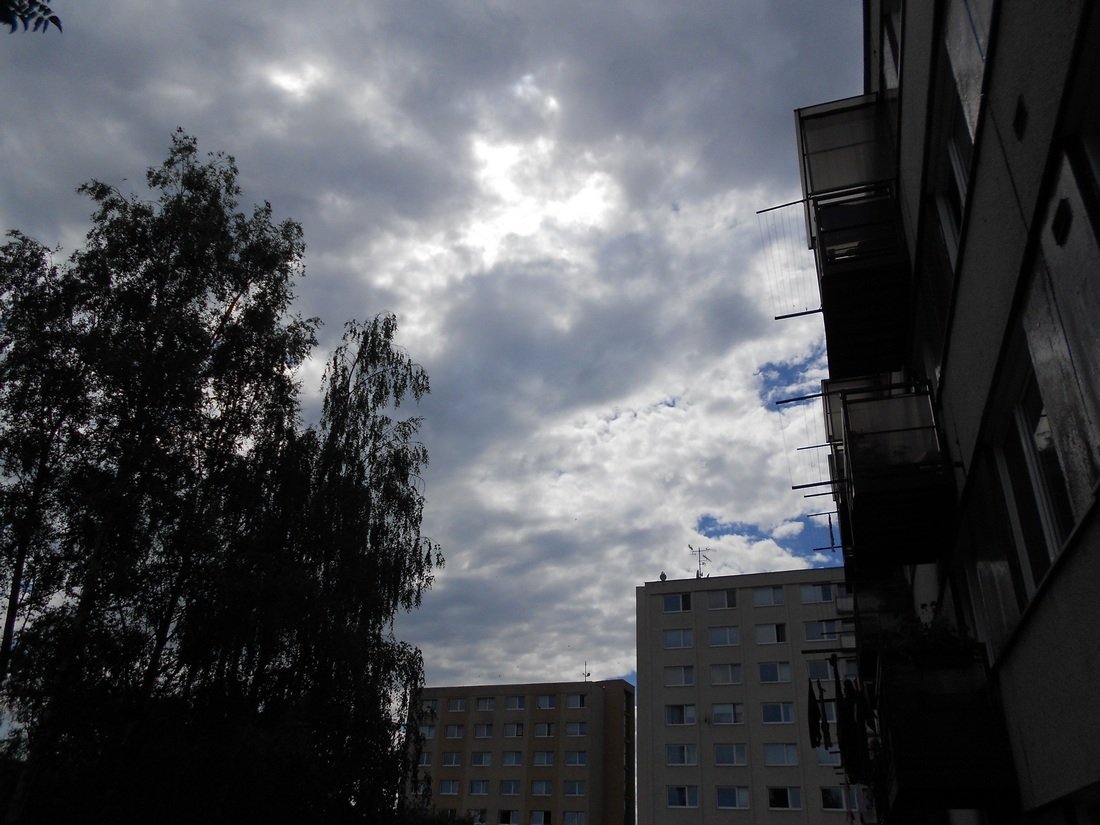 Borovina